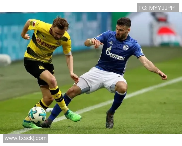 勒沃库森主场胜沙尔克04，德甲赛场连胜保持不败统治力